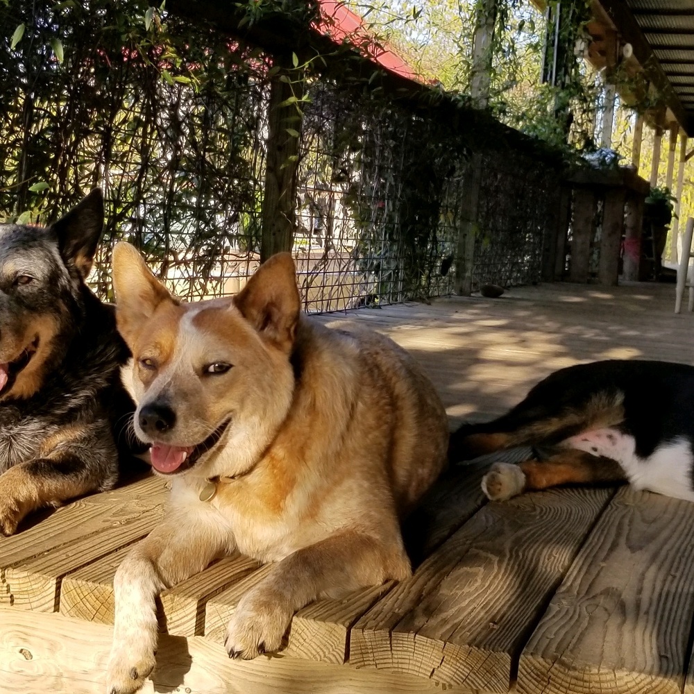 Meet your Posher, Beth